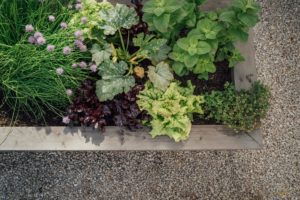 GARDEN BOXES