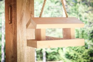 BIRDFEEDERS