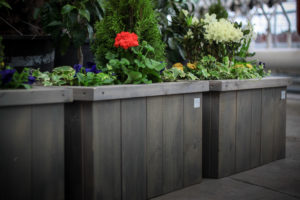FLOWER BOXES